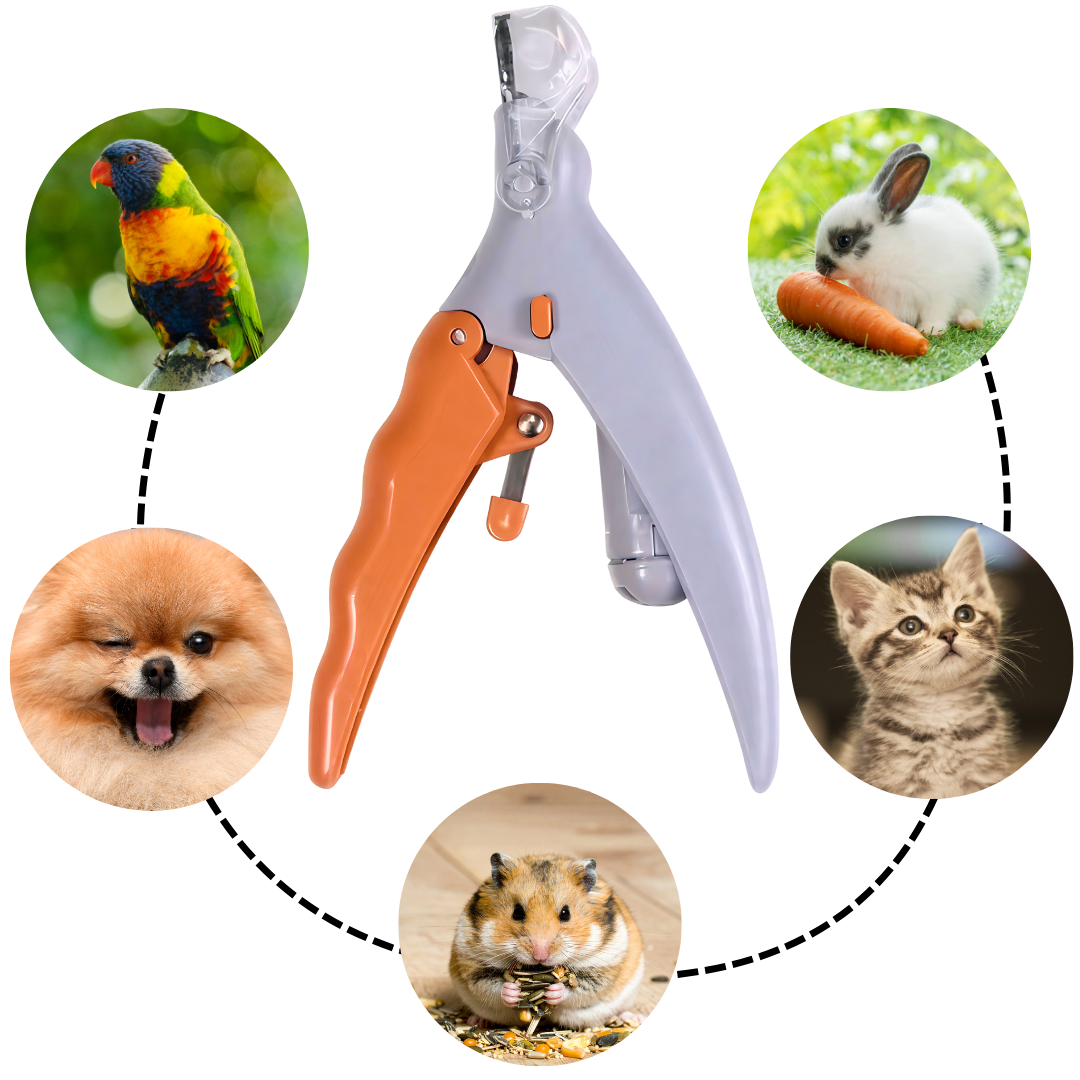 GRICKALICA SA LED SVETLOM 3U1