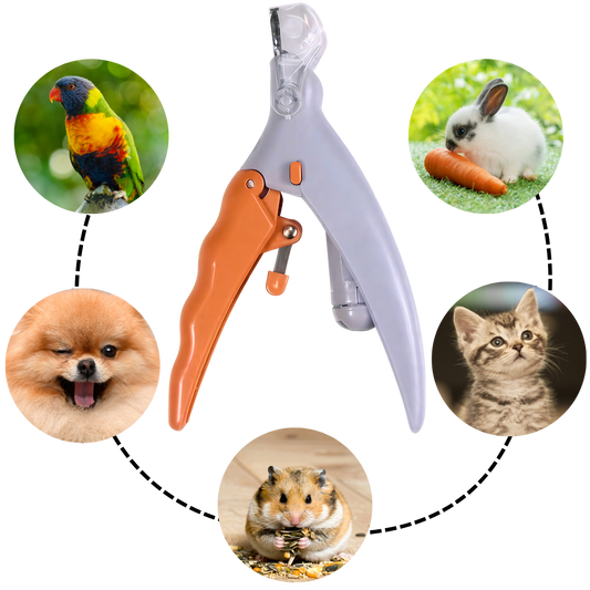 GRICKALICA SA LED SVETLOM 3U1