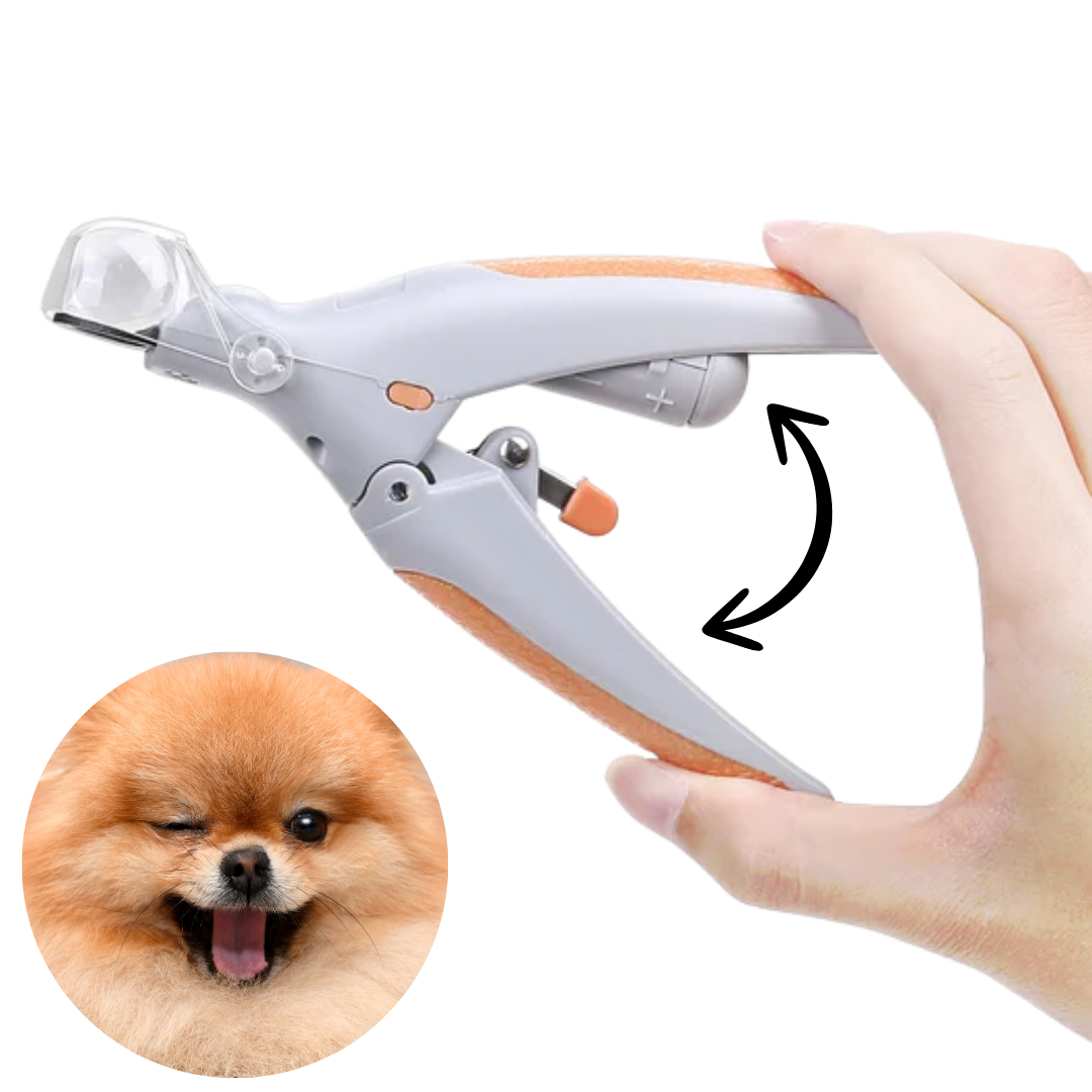 GRICKALICA SA LED SVETLOM 3U1